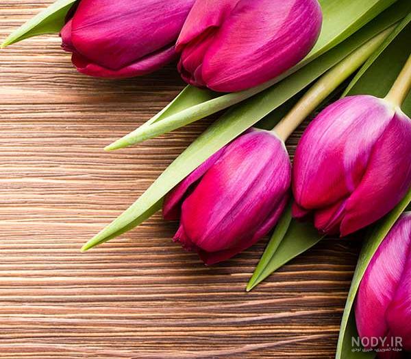 عکس های پروف لاتی عکس های پروف لاتی