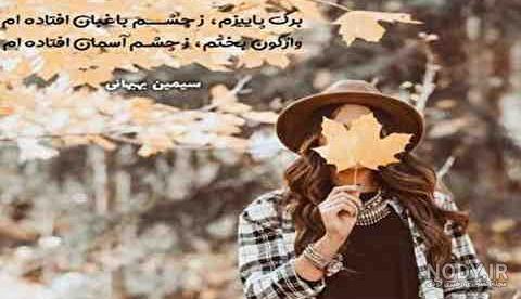 عکس پروفایل میوه های پاییزی - عکس نودی