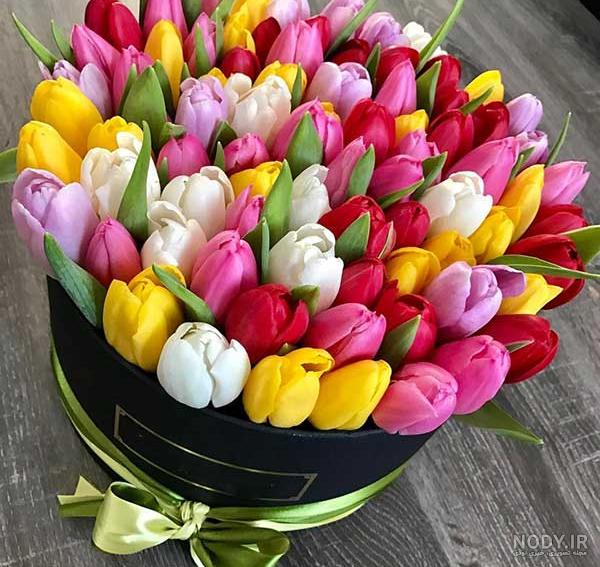 عکس های گل عکس های گل