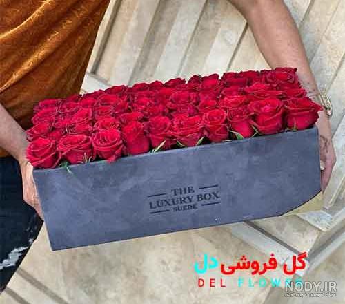 عکس گل لاله برای پروفایل عکس گل لاله برای پروفایل