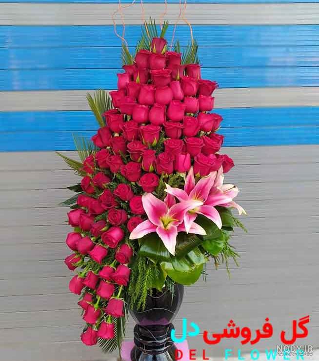 عکس گل لاله شیک عکس گل لاله شیک