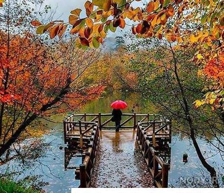 عکسهای زیبا برای پروفایل طبیعت