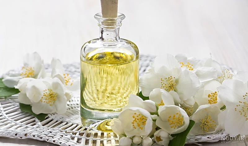 معرفی 10 عطر با رایحه گل یاس (برترین عطرهای 1403) معرفی 10 عطر با رایحه گل یاس (برترین عطرهای 1403)