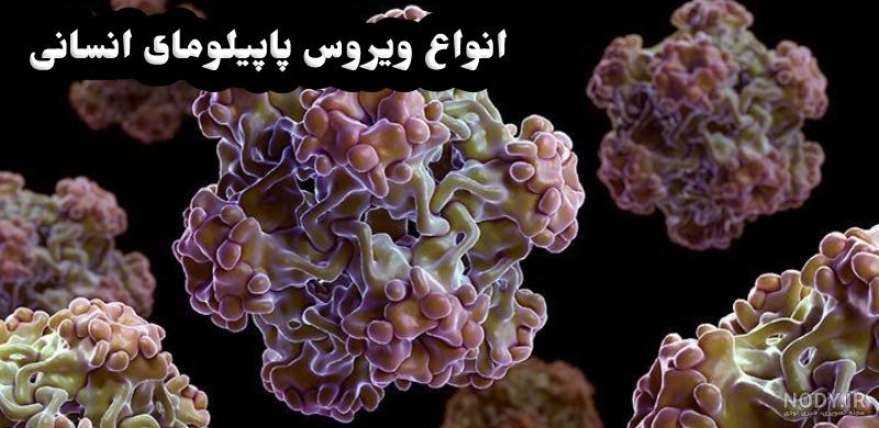ویروس اچ پی ویHPV چیست؟ انتقال پاپیلوم انسانی؛ علائم و درمان ...