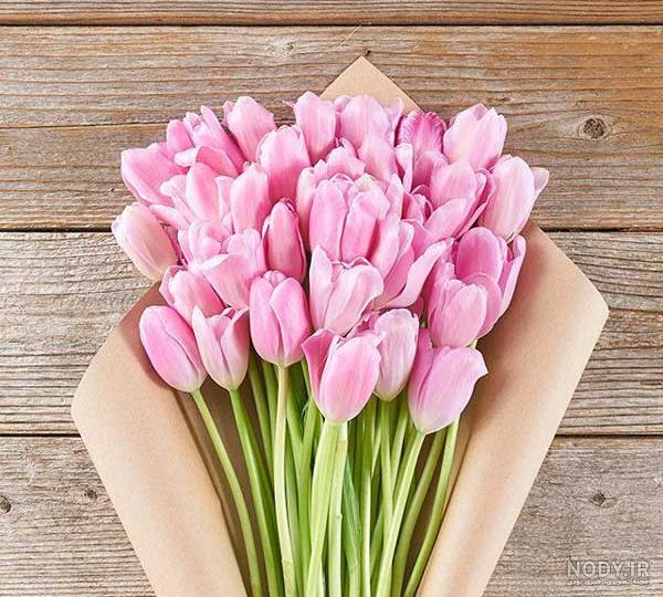 گل فروشی شهر زیبا-0919410059 گل فروشی شهر زیبا-0919410059