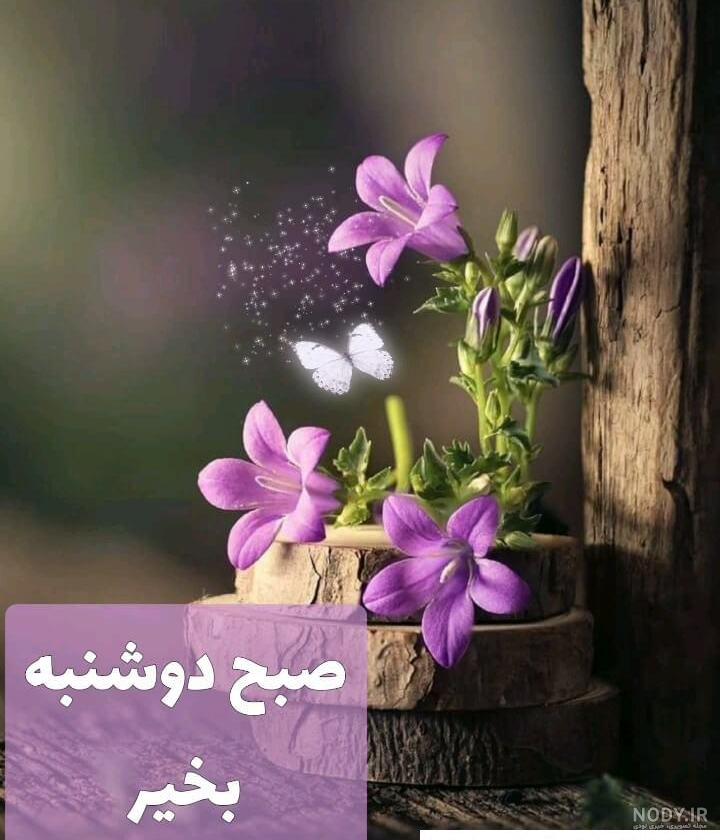 سلام صبح بخیر روز دوشنبه پاییزی