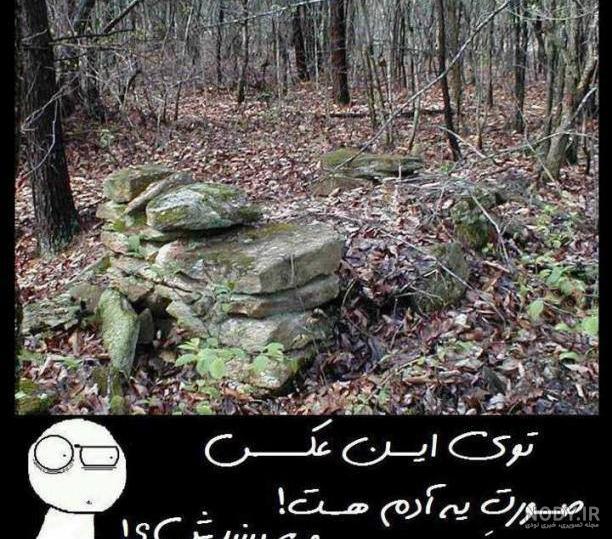 تصاویر) عجیب و دیدنی از دنیای حیوانات تصاویر) عجیب و دیدنی از دنیای حیوانات