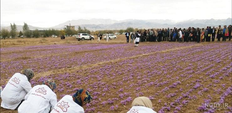 زعفران فردوس؛ مواد معدنی آنتی اکسیدن طب سنتی (1 3 10) گرمی - آراد ... زعفران فردوس؛ مواد معدنی آنتی اکسیدن طب سنتی (1 3 10) گرمی - آراد ...