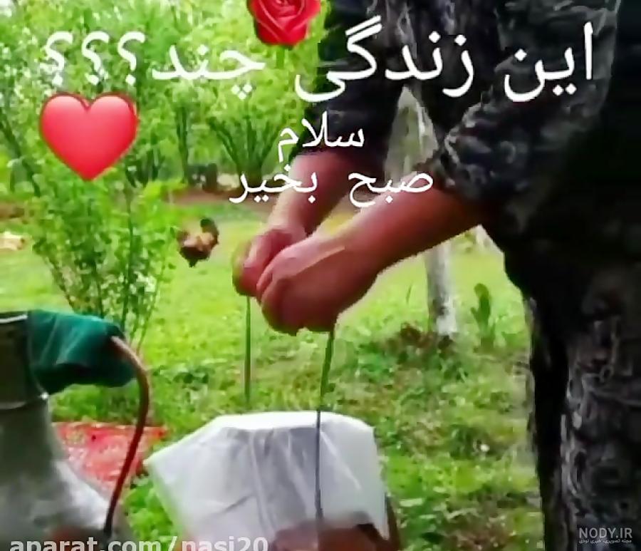 سلام صبح بخیر با عکس طبیعت ❤️ [ بهترین تصاویر ]