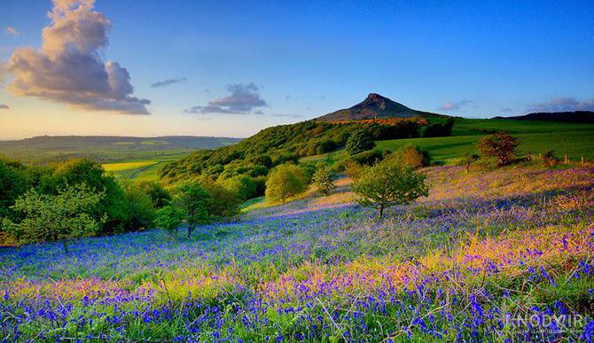 عجیب ترین جاذبه های طبیعی جهان !! + تصاویر عجیب ترین جاذبه های طبیعی جهان !! + تصاویر