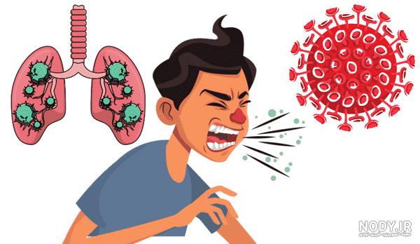 عکس ابله میمونی