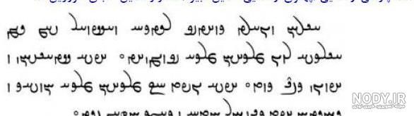عکس ارم کوروش کبیر