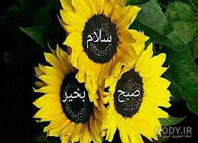 عکس طبیعت با سلام صبح بخیر عکس طبیعت با سلام صبح بخیر