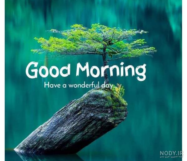 عکس طبیعت برای صبح بخیر و استوری (good morning) عکس طبیعت برای صبح بخیر و استوری (good morning)