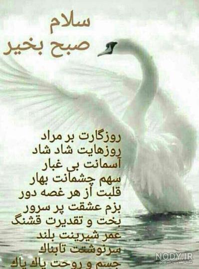 عکس طبیعت برای صبح بخیر و استوری (good morning) عکس طبیعت برای صبح بخیر و استوری (good morning)