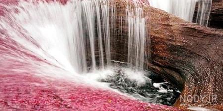 عکس طبیعت عجیب و زیبا عکس طبیعت عجیب و زیبا