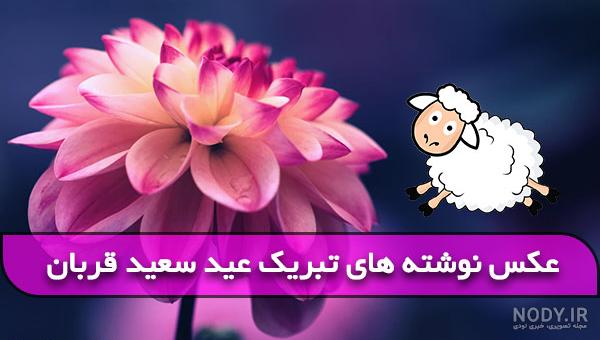 عکس عید قربان | 80 عکس نوشته عید قربان مبارک برای پروفایل - دلبرانه