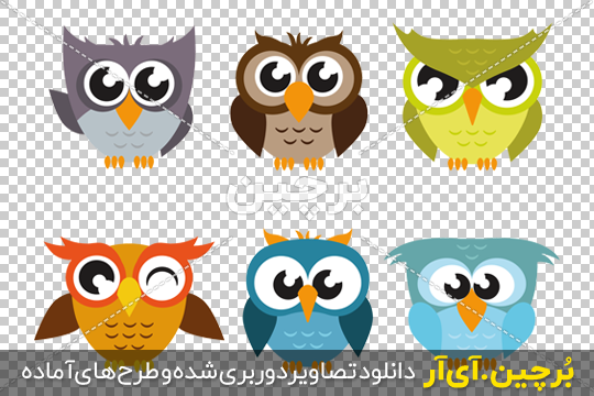 عکس کارتونی جغد عکس کارتونی جغد