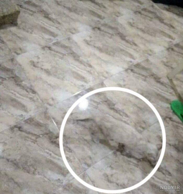 گیج کننده گیج کننده