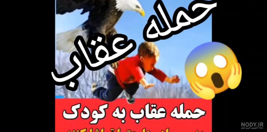 10 عقاب غول پیکر روی زمین +عکس 10 عقاب غول پیکر روی زمین +عکس
