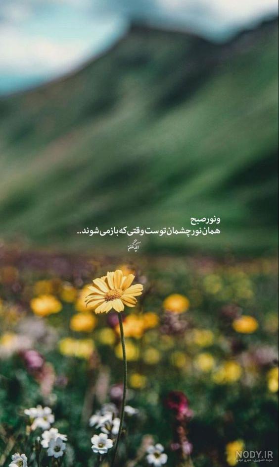 تصاویر صبح بخیر گفتن زیبا