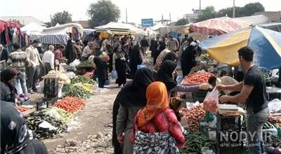 صومعه‌سرا؛ شهری دلفریب با نیلوفرهای آبی و ابریشم+تصاویر | خبرگزاری ...