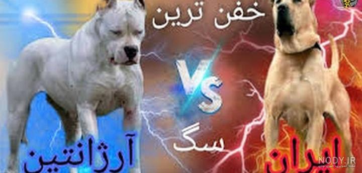 عکس سگ سرابی جنگ