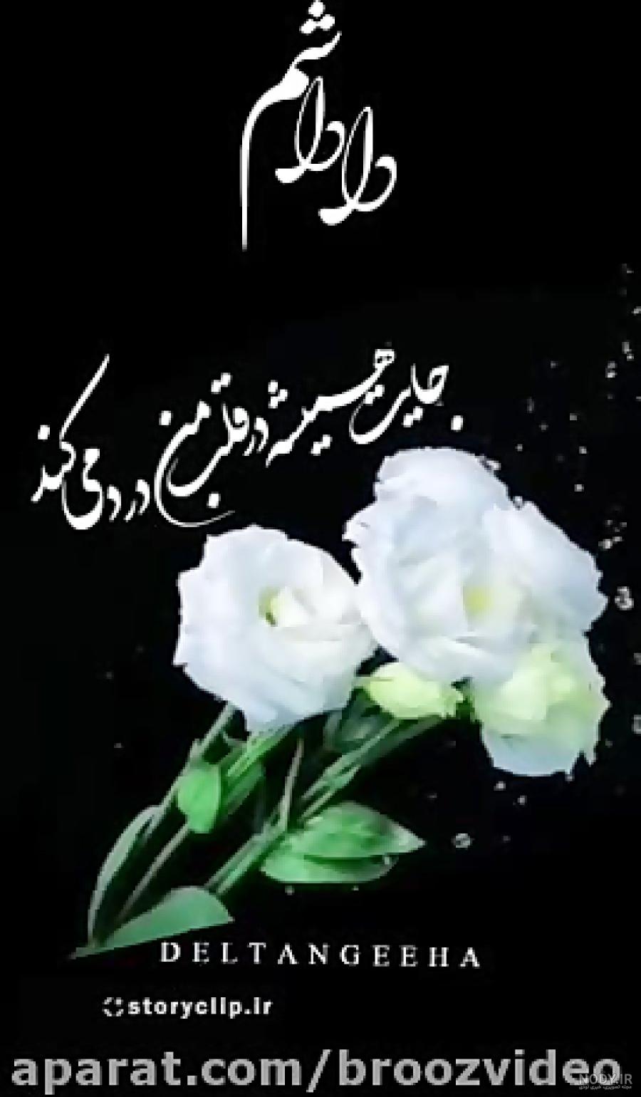 عکس پروفایل اولین سالگرد فوت برادر عکس پروفایل اولین سالگرد فوت برادر
