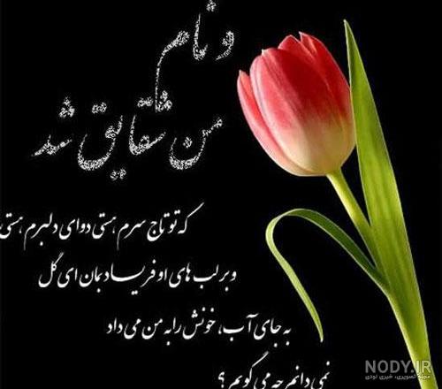 عکس پروفایل گل عاشقانه زیبا از شاخه رز تا نرگس 120 تصویر با کیفیت!