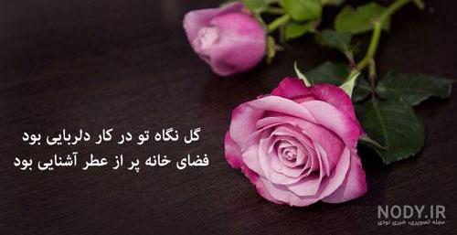 عکس پروفایل گل | مجموعه 120 عکس گل زیبا و با کیفیت HD - دلبرانه