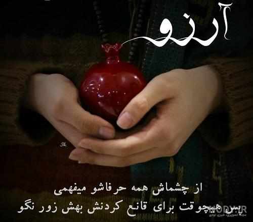 گالری عکس‌های آرزو صادقی از ایران