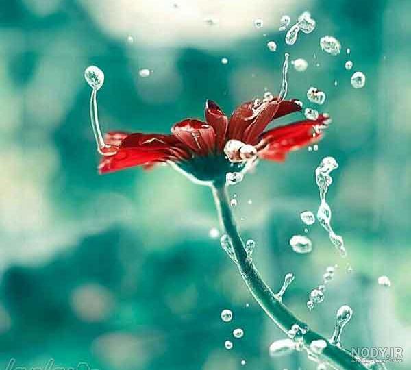استفاده از گل مصنوعی برای تزیین خانه + 24 مدل شیک و ارزان