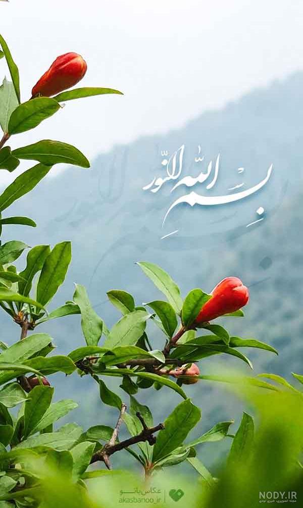 تزئینات دکوراسیون مغازه + 84 عکس
