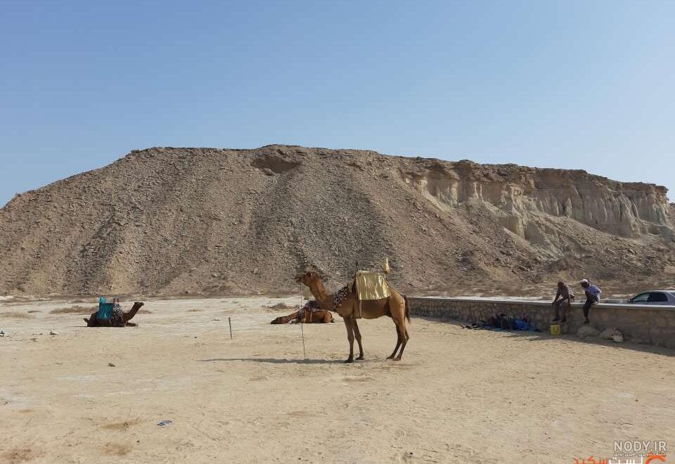 دایناسور در سی تی سنتر قشم دایناسور در سی تی سنتر قشم