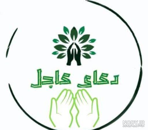 عرج سواحل چیست | خواص + روش به دام انداختن | دعای عاجل