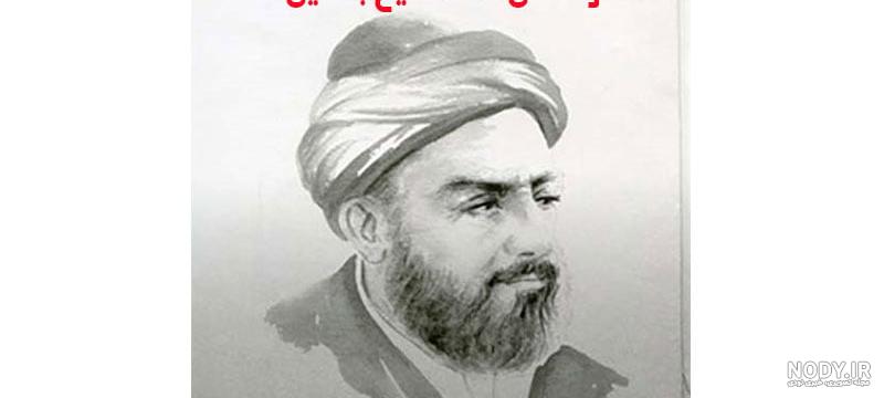 عکس بچه سگ شیتزو