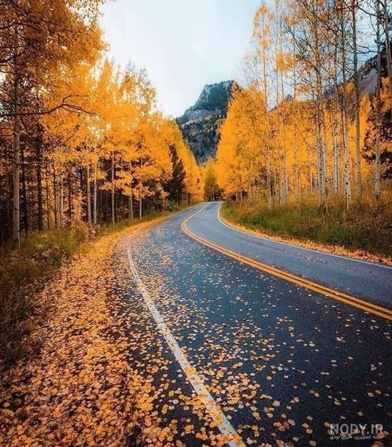 عکس های جاده بارانی و رویایی برای پروفایل و پس زمینه