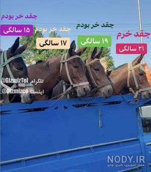 عکس سیسمونی پسرم نی نی سایت - عکس نودی عکس سیسمونی پسرم نی نی سایت - عکس نودی
