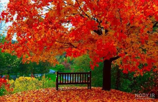 عکس نوشته انگلیسی درباره پاییز ۱۴۰۰ - عکس نودی