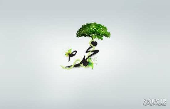 عکس نوشته محمد زیبا