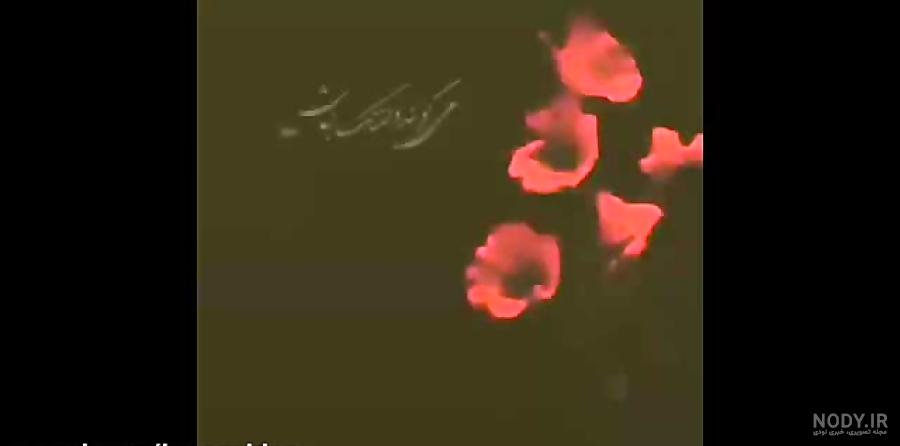 عکس پروفایل چهل روز گذشت عمو جان - عکس نودی