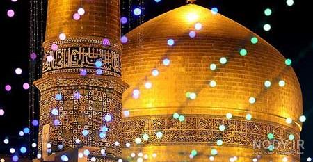 عکس کبوتر حرم امام رضا برای پروفایل