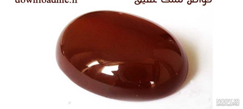 نبرد دیدنی جوجه تیغی و پلنگ ، حمله حیوانات وحشی