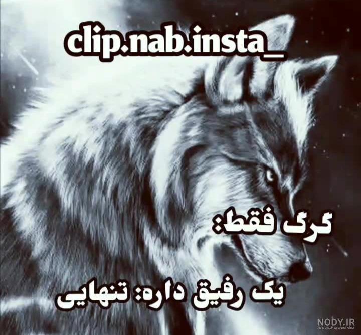 استوری گرگ استوری گرگ
