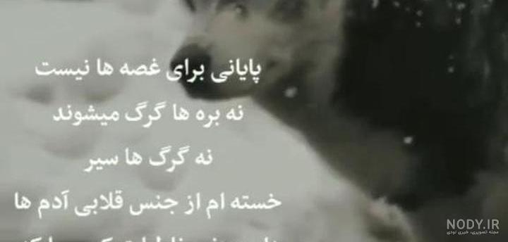 استوری گرگ در لباس میش استوری گرگ در لباس میش