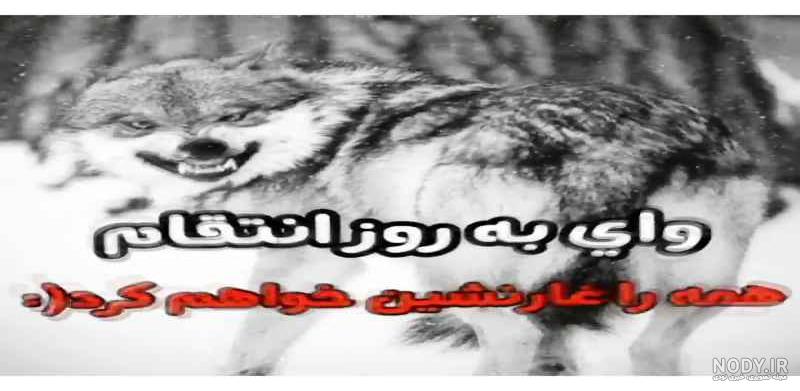 استوری گرگ مغرور استوری گرگ مغرور