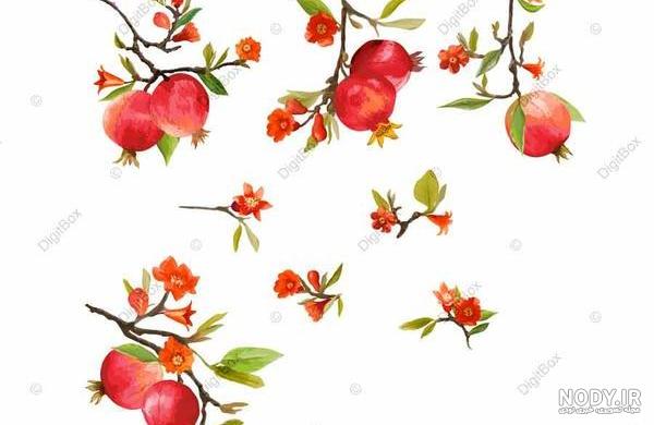 عکس کیک یلدایی انار عکس کیک یلدایی انار