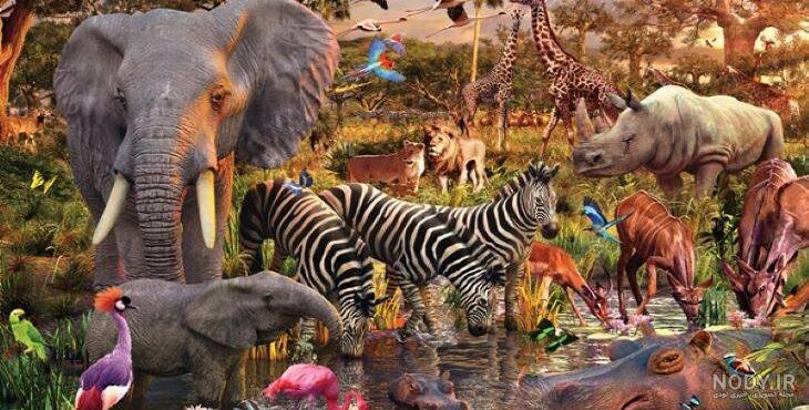 Dieci curiosità sulla vita dei leoni che forse non sapete Dieci curiosità sulla vita dei leoni che forse non sapete
