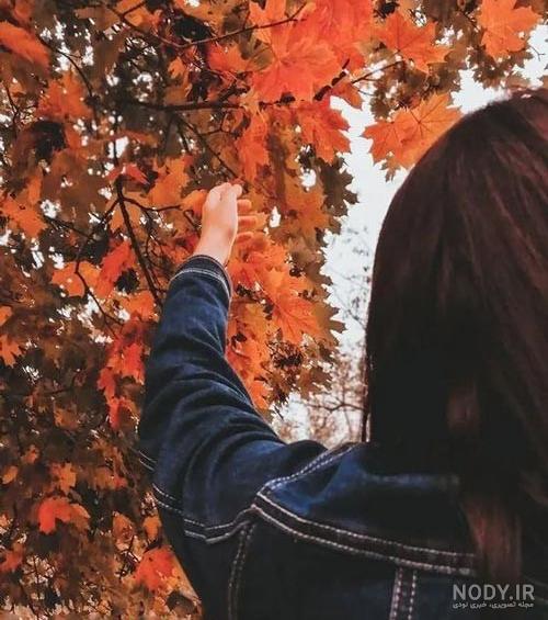 عکس فیک صورت دخترانه ️ [ بهترین تصاویر ]