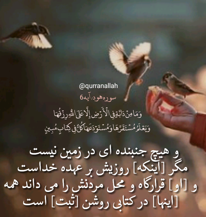 عکس نوشته آیه قرآنی - عکس نودی